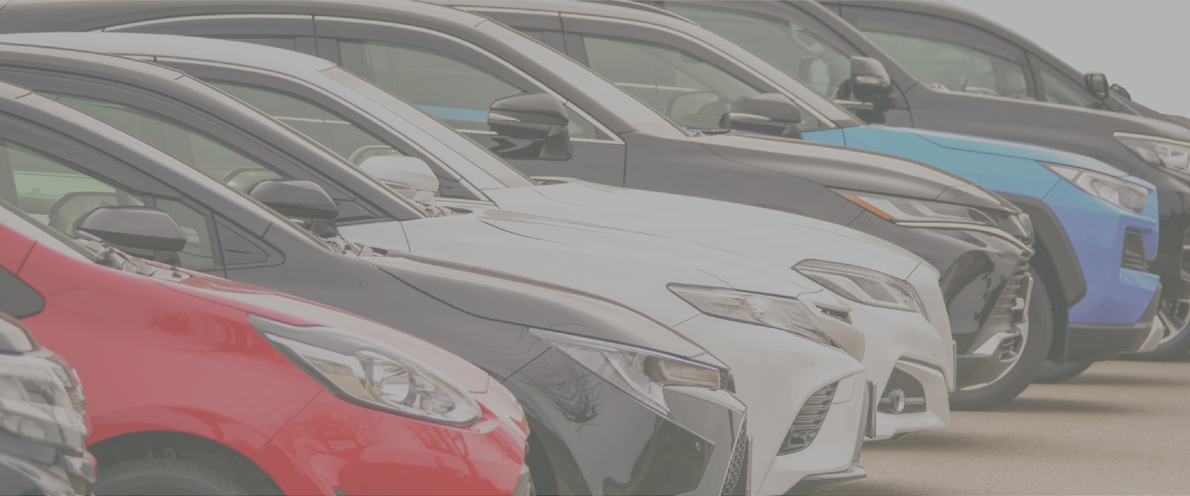 車をどこよりも高価買取をお約束致します！