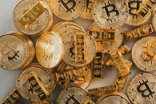 お金の写真